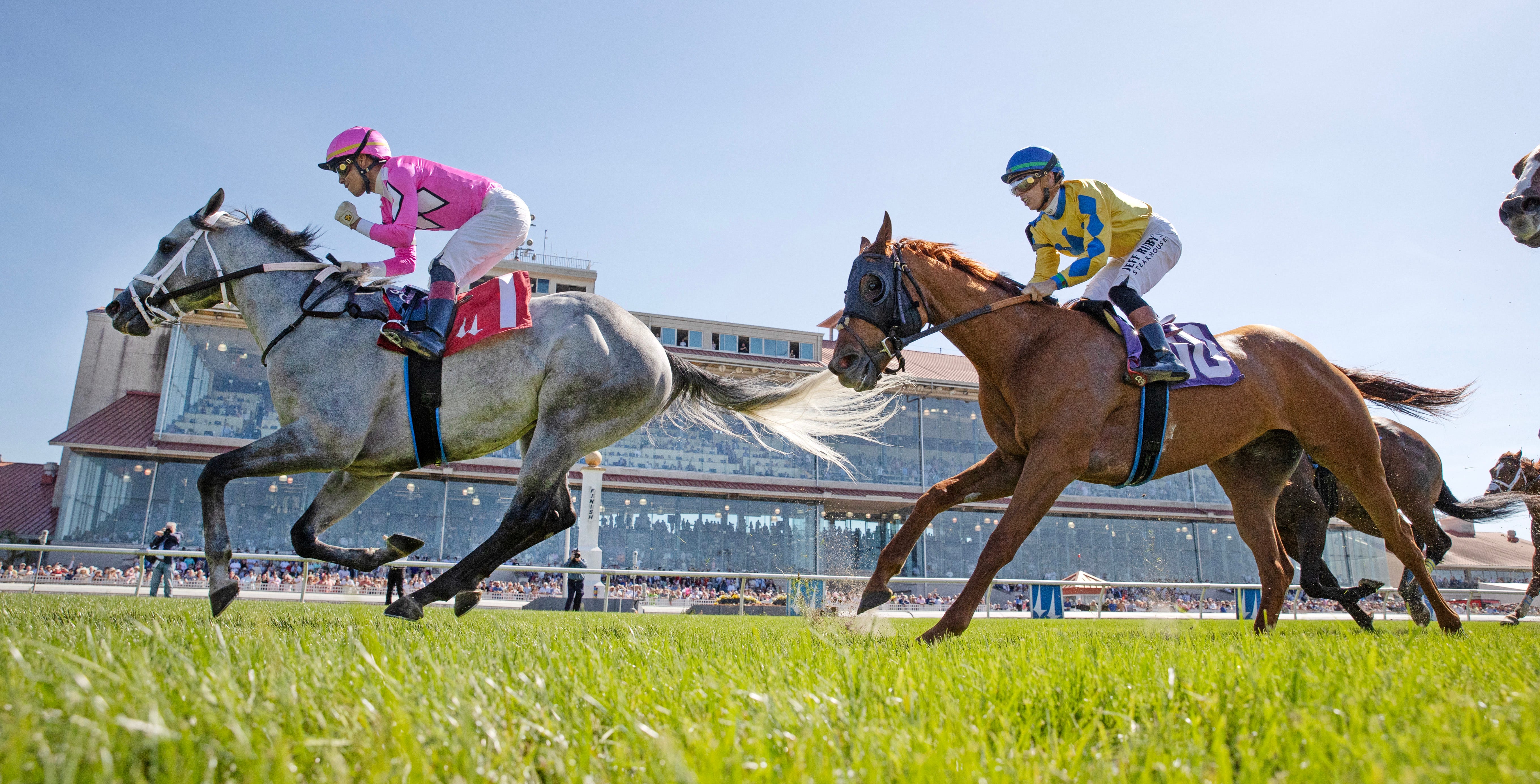 Nine Part powers home for another victory in Costa Rising